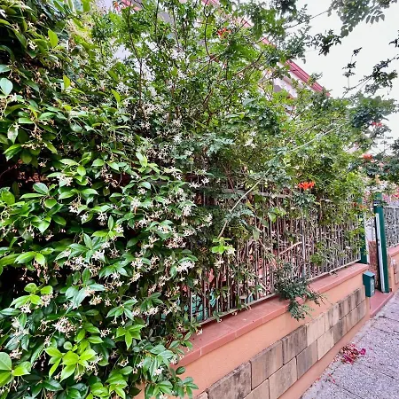 Teresa By La Via Del Mare Viaggi E Vacanze Villasimius